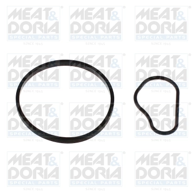 Gasket, vacuum pump